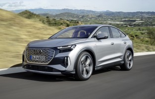 Fußmatten, Gummi-TPE für Audi Q4 E-Tron (2021-heute)