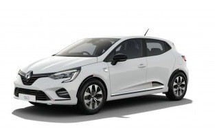 Mats wirtschaftlichen Renault Clio (2020-present)