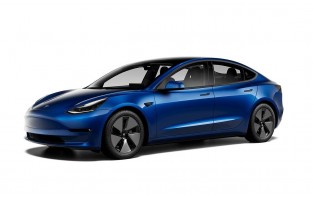 Kaufe Auto Fußmatten Für Tesla Modell 3 2019 2020 2021 Doppel Schicht Leder  Auto Fuß Pads Teppich Abdeckung Innen Dekoration